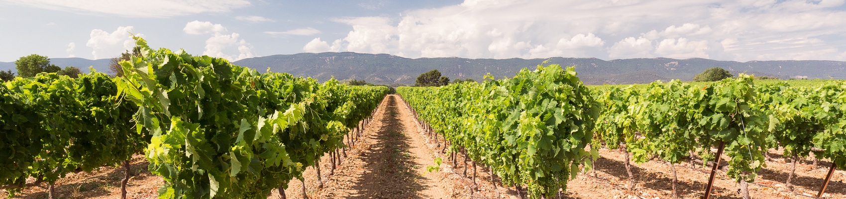 Der Ventoux